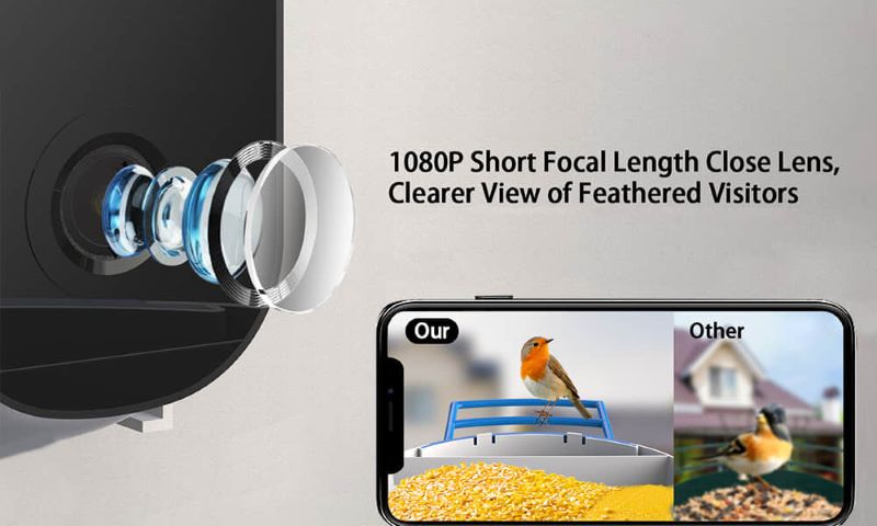 Sherem Hummingbird Feeder camera