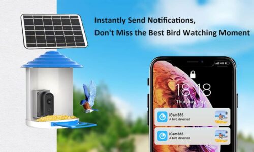 Sherem Hummingbird Feeder Review for 2026