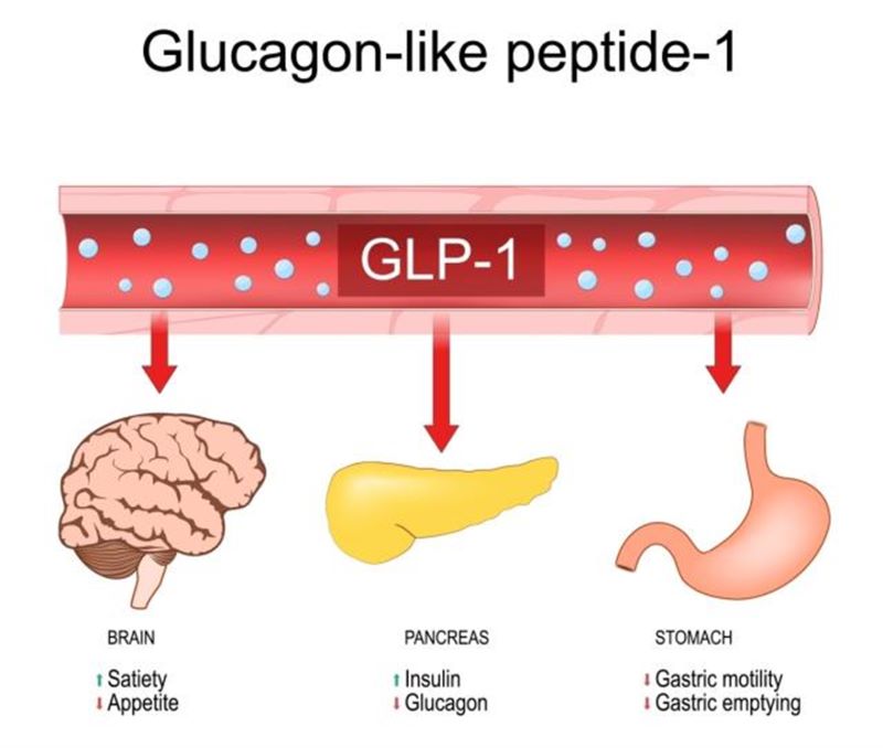 GLP-1