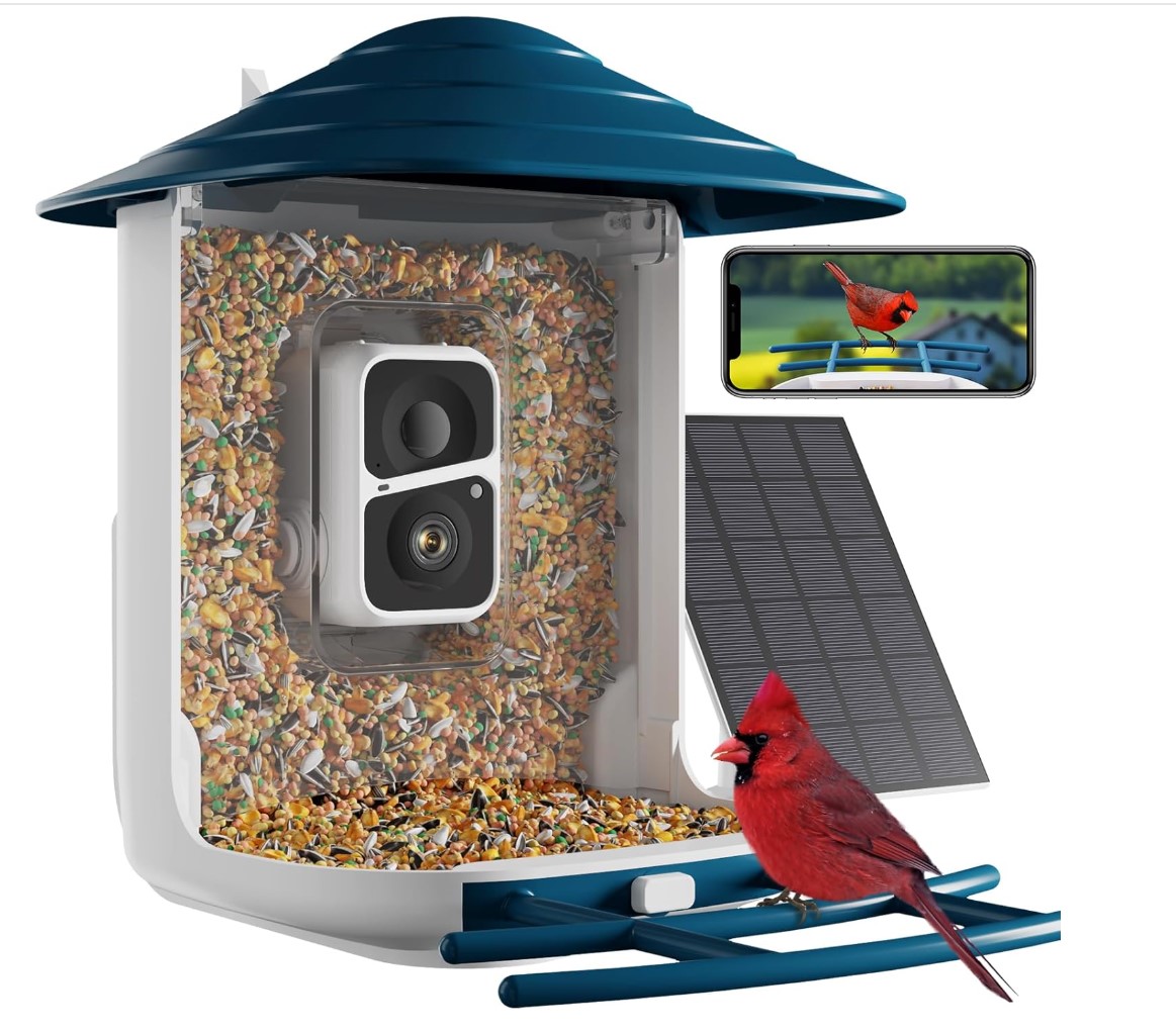 Dzees Smart Bird Feeder with Camera