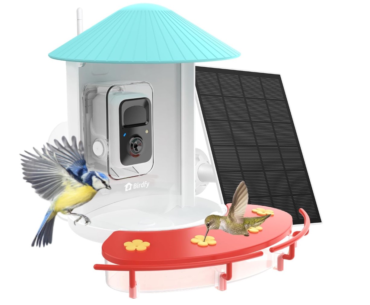 NETVUE Birdfy® Hummee Smart Hummingbird Feeder