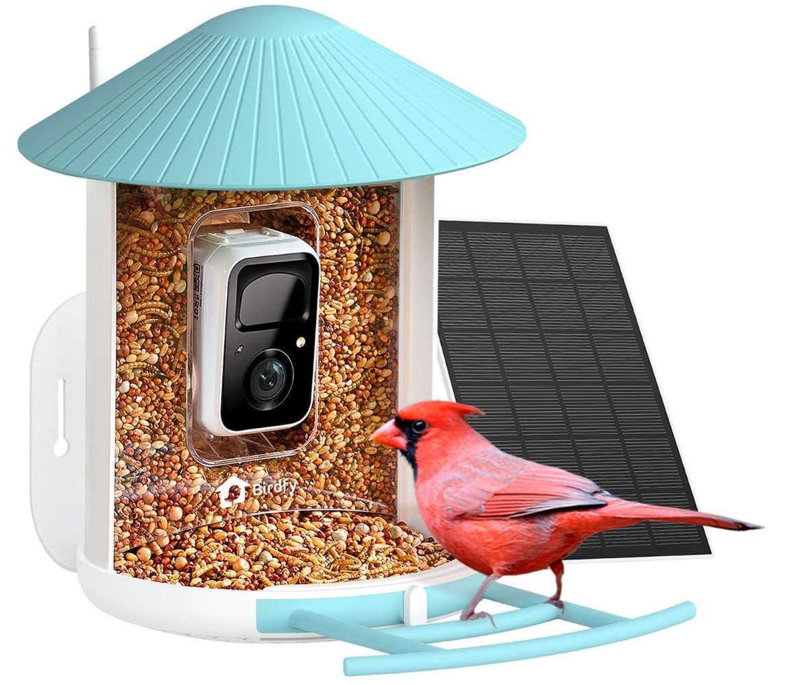 NETVUE by Birdfy Smart Bird Feeder with Camera (Solar Blue)
