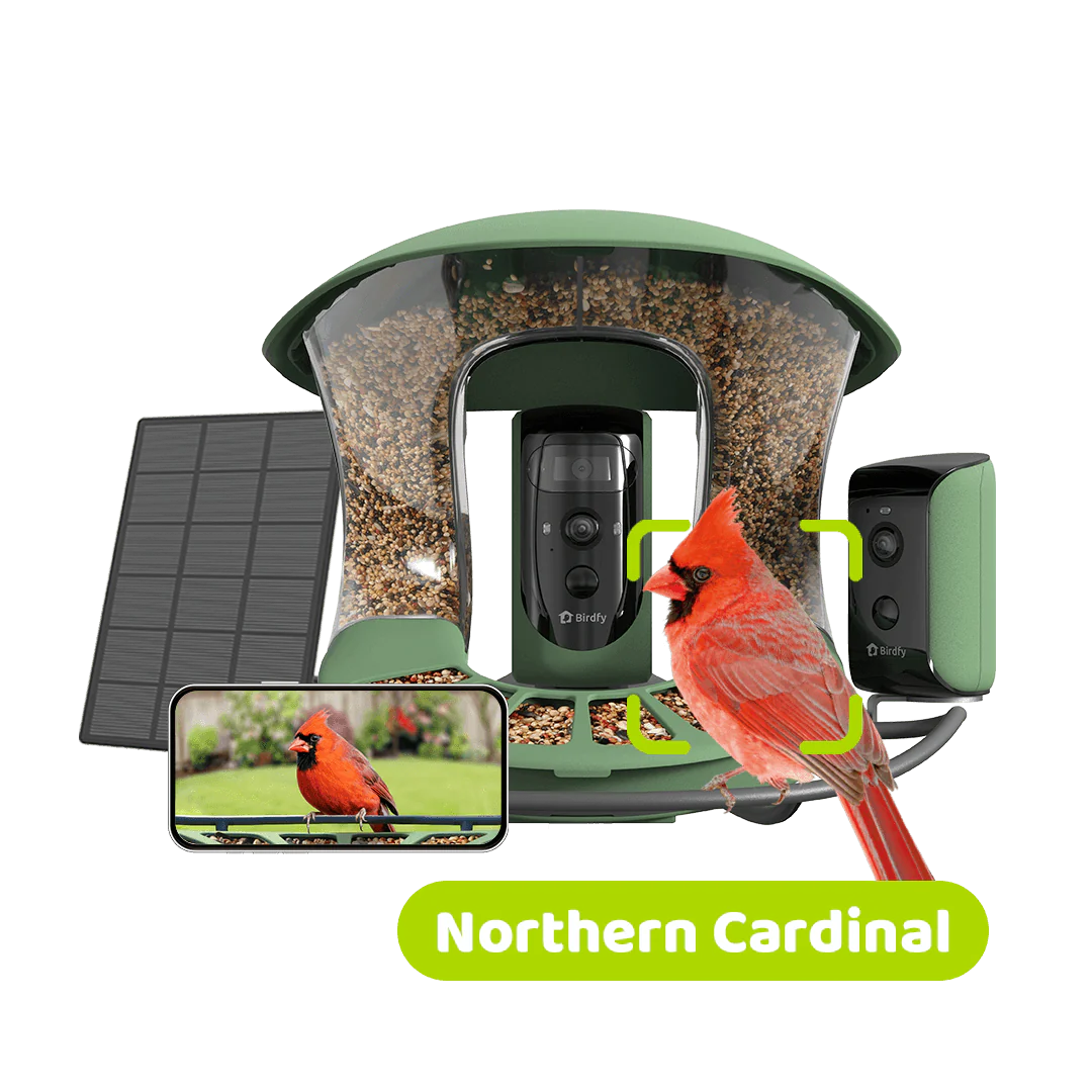 Birdfy Feeder 2 Duo - Bird Feeder with Camera