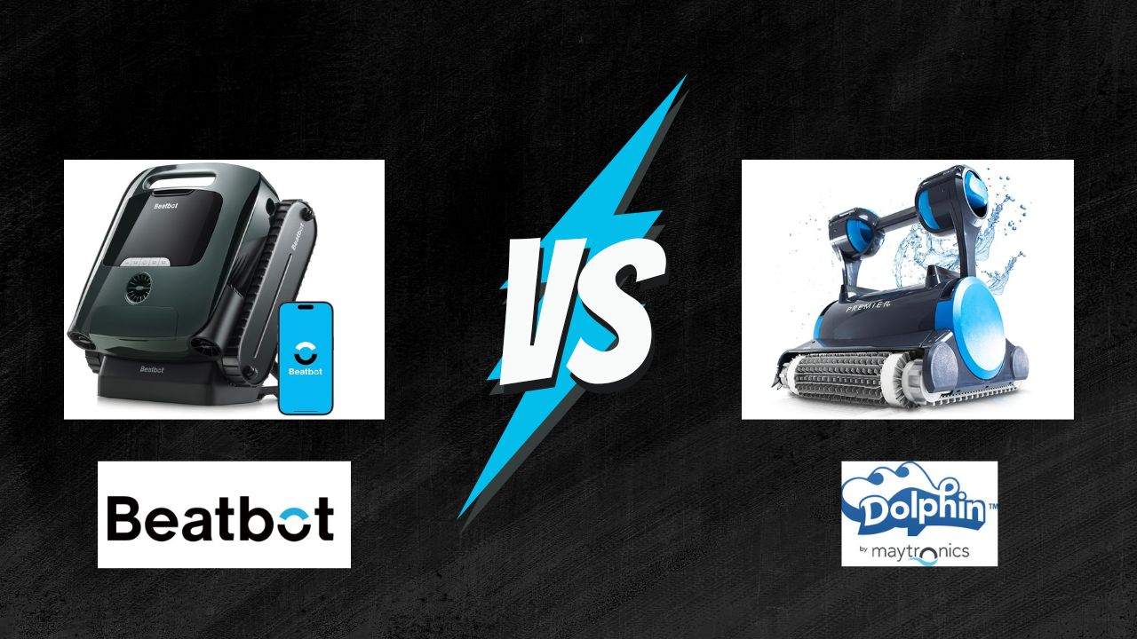beatbot vs dolphin