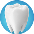 Teeth